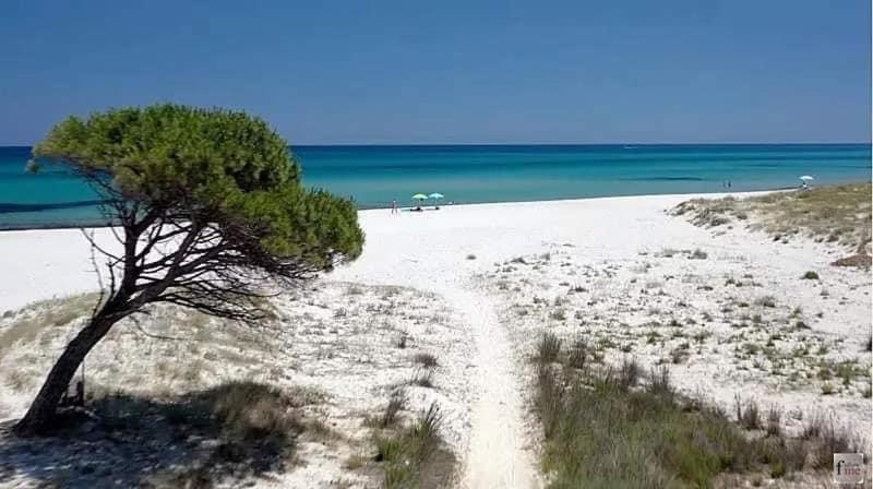 Le Residenze Del Mare Monolocale N2 Apartman La Caletta Kültér fotó